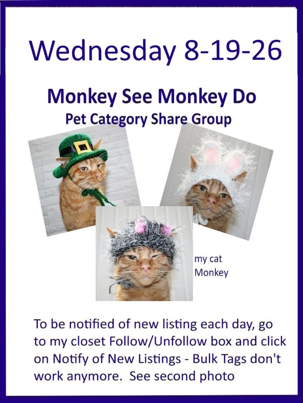 Wednesday 8-19-26 Dog Cat Small Animal Pet Share Discussion Group